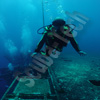 zenobia diving